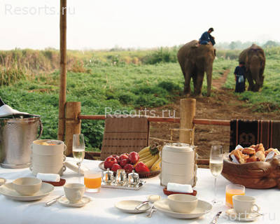 Four Seasons Tented Camp Golden Triangle 10